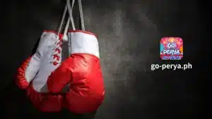 Sa pangkalahatan, kung ikaw ay masigasig sa pagtaya sa boxing at MMA, dapat mong malaman na ito ay hindi mahirap sa lahat. Maraming mga posibilidad para sa boksing at pagtaya sa MMA.