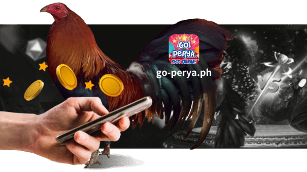 Ang mga lehitimong online na platform tulad ng Go Perya ay nag-aalok ng live streaming ng mga sabong, na nagbibigay-daan sa iyong ma-enjoy at tumaya sa mga ito mula sa loob ng iyong comfort zone. Makakakuha ka rin ng ekspertong komentaryo sa panahon ng live na broadcast, at ang pagsusuring ito ay maaaring gabayan ang iyong mga desisyon sa pagtaya.